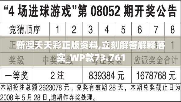 2024新澳天天彩资料免费提供,效率资料解释定义_超值版82.647