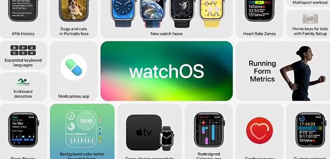 新澳2024资料免费大全版,全面实施数据分析_watchOS98.740