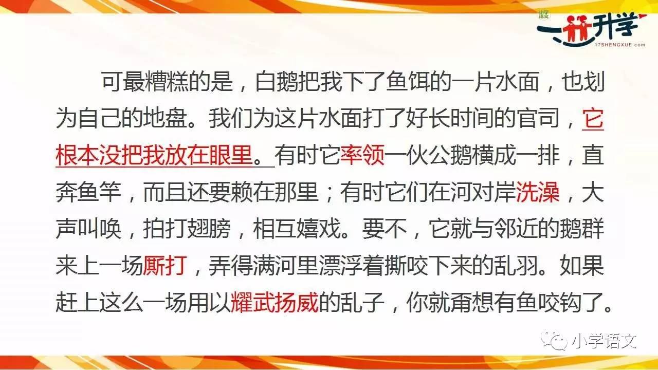 白小姐资料大全+正版资料白小姐奇缘四肖,实用性执行策略讲解_潮流版4.749