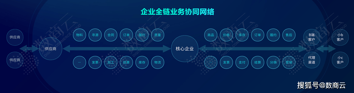 一码一肖100%的资料,实效性解读策略_D版16.358