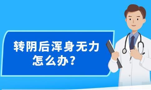 新澳精准资料大全免费更新,广泛的关注解释落实热议_运动版23.255