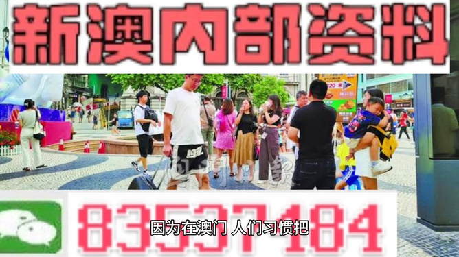 2024新澳精准正版资料,广泛的解释落实支持计划_领航版30.920